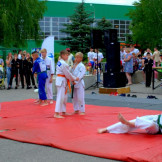 yaichnitsa_30_06_18_033