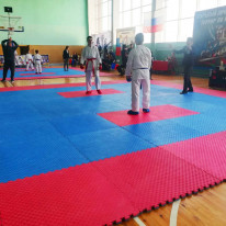 karate_21_04_19_001