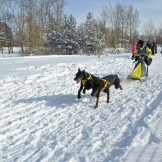 zimnjaya_skazka_2013_009