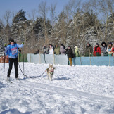 zimnjaya_skazka_2013_014