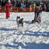 zimnjaya_skazka_2013_031