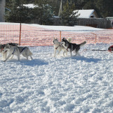 zimnjaya_skazka_2013_042
