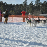 zimnjaya_skazka_2013_065