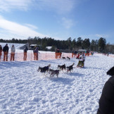 zimnjaya_skazka_2013_075