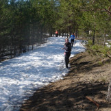 sport_orientirovanie_20_04_13_006