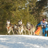 zimnaya_skazka_2014_050