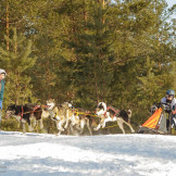 zimnaya_skazka_2014_057