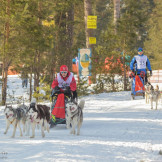 zimnaya_skazka_2014_071