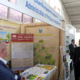 business_summit_12_09_14_016