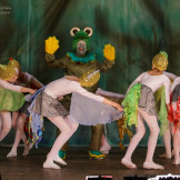 froggy_26_12_14_004