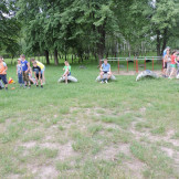 antinark_04_06_15_029