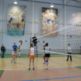 volleyball_02_02_13_043
