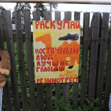 den_poselka_01_08_15_011