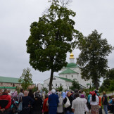 gosteby_2016_003