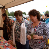 gosteby_2016_047