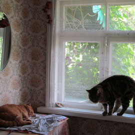 Твой сон под моей охраной... Автор Любовь Лосева