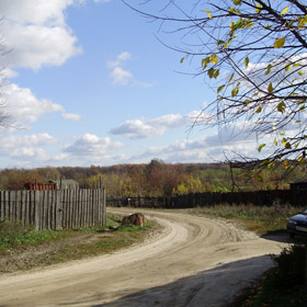 Последние листья Автор: Хохлова Раиса Михайловна п.Решетиха